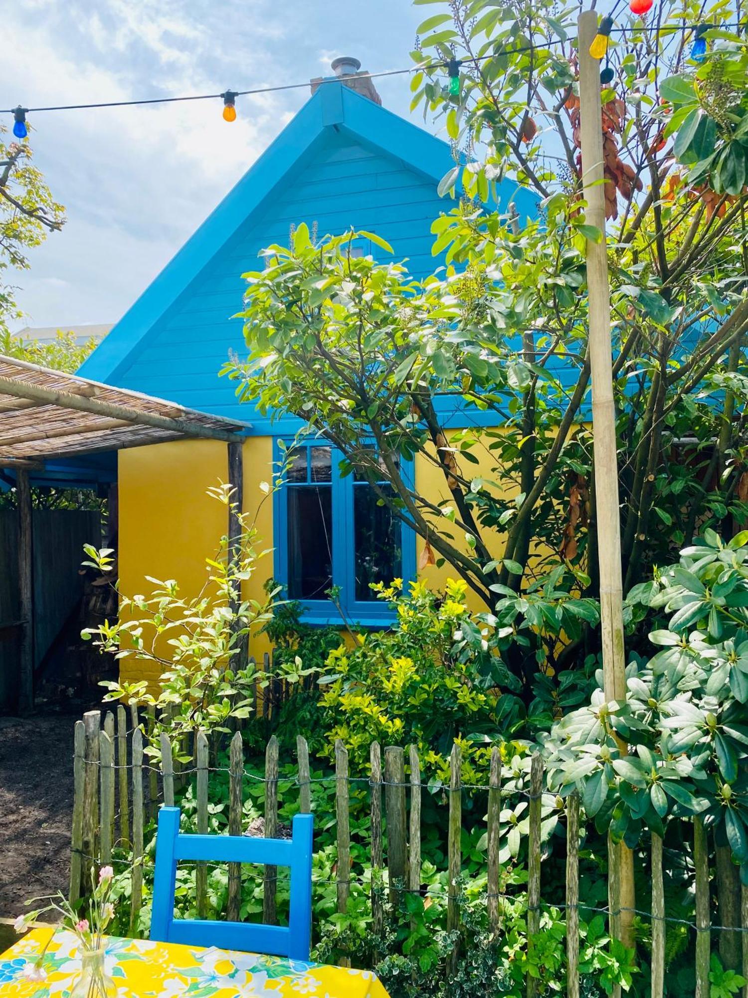 In De Aap - Appartementen & Guesthouse ベルゲン エクステリア 写真